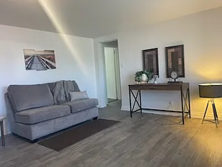Living room area