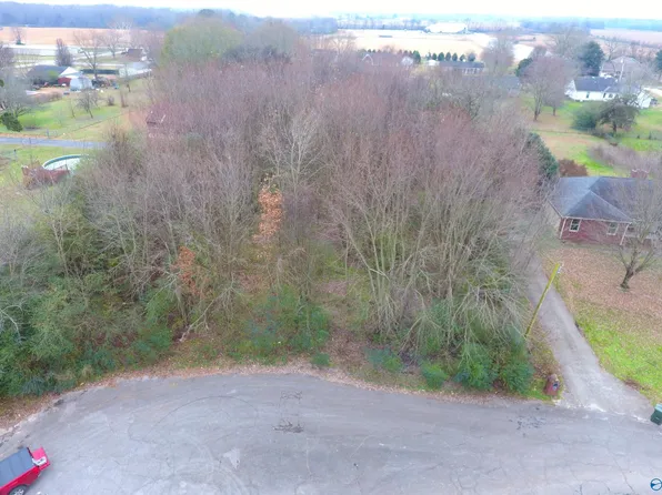 220 Jamie Ln, Toney, AL 35773