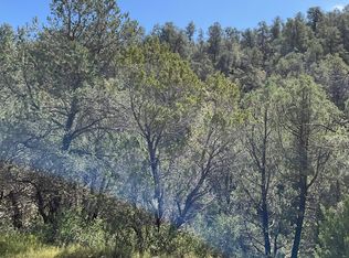 6 Georgetown Rd #LOU, Hanover, NM 88041