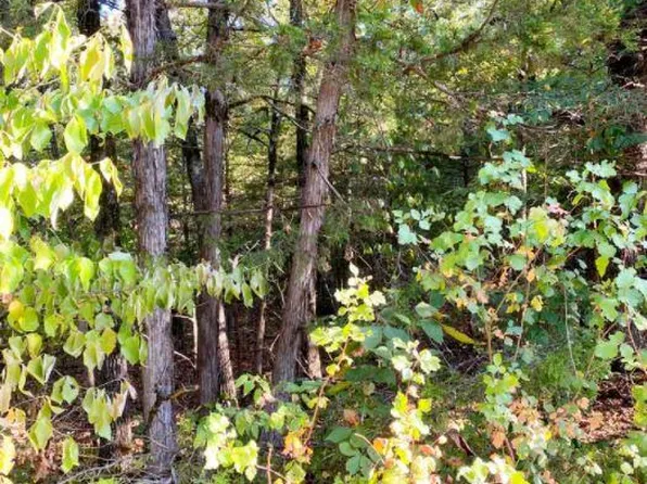 W Pine St, Pine St, AR 72644