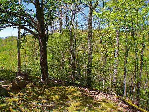 4th image of 2425 Mathis Hollow Rd Lot 24&25