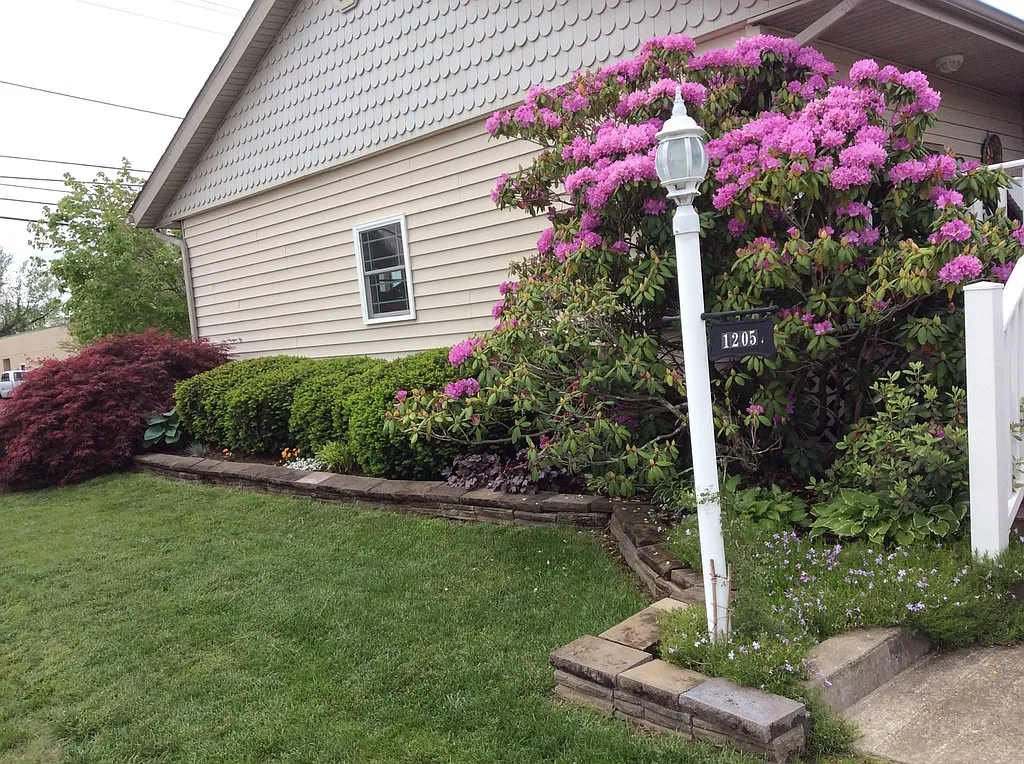 Property photo 4