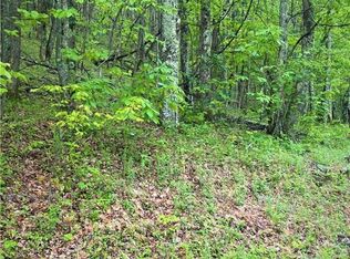 Tbd Silverleaf Rd, Zionville, NC 28698