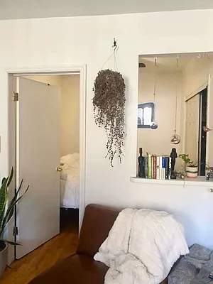 Rented by Jack B Shapiro | media 9