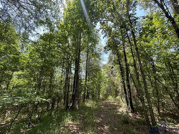3rd image of 0 County Road 4335
