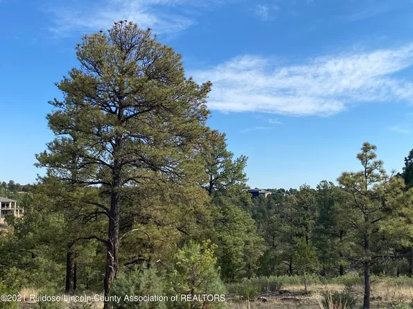 L15d Gene Sarrasin Ct, Alto, NM 88312