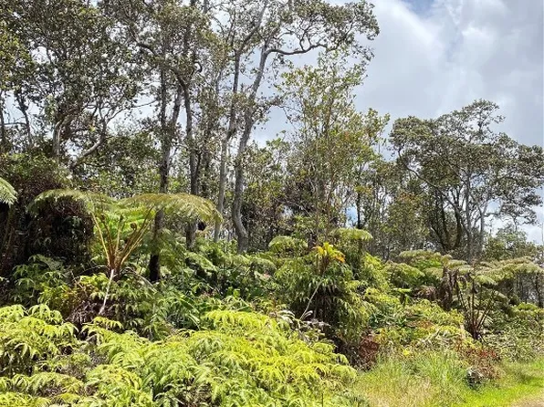 11-3729A Alaohia St, Volcano, HI 96785