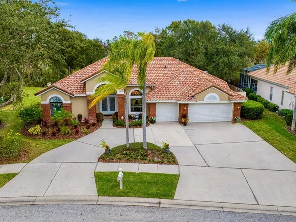 17722 Grey Eagle Rd, Tampa, FL 33647