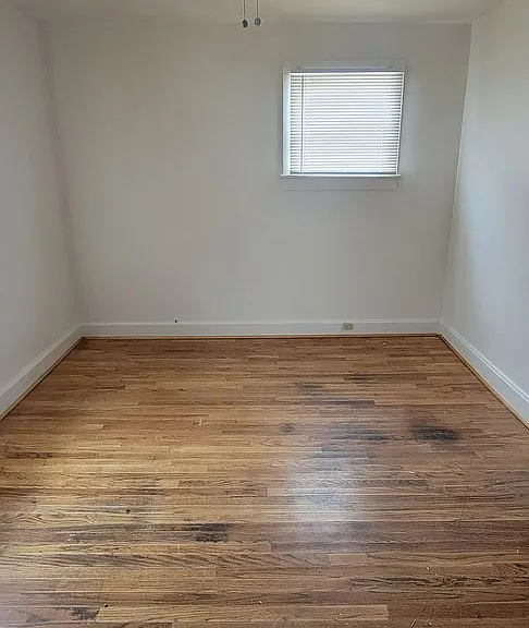 803 Phay Ave — Photo 4
