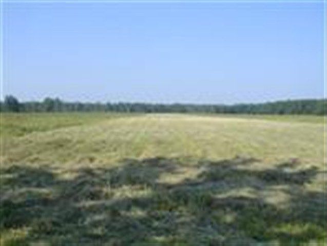 Nov 7 2010