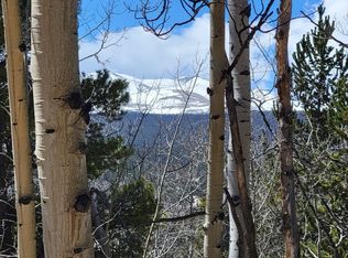 667 Ponderosa Rd, Alma, CO 80420