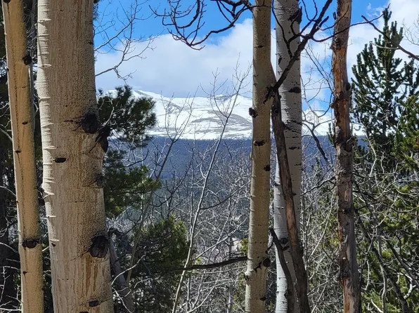 667 Ponderosa Rd, Alma, CO 80420