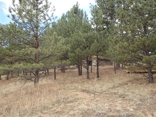 1st image of 55 Kara Ln