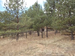 55 Kara Ln, Florissant, CO 80816
