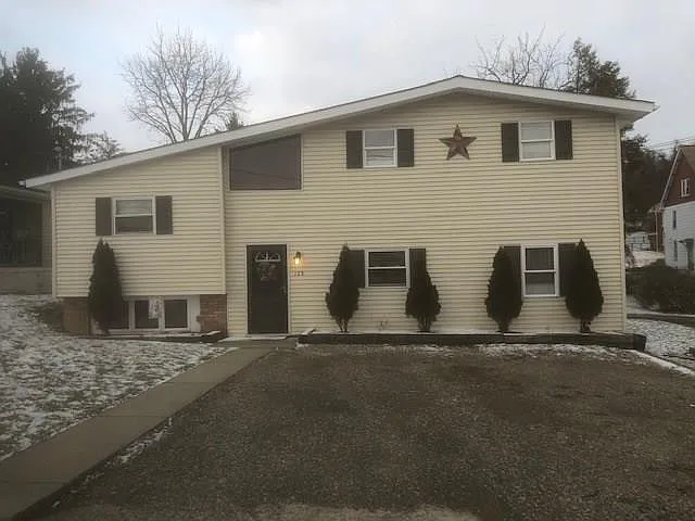 128 Chestnut St photo 1