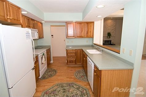 Updated kitchen with new cabinets, flooring and counters.