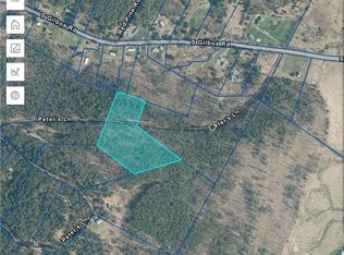 LOT 29 Peters Ln, Gilboa, NY 12076