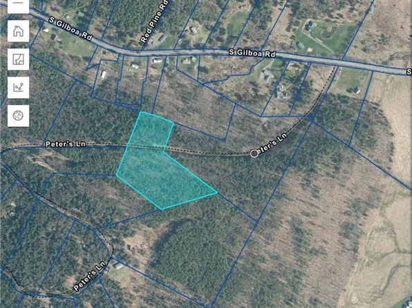 LOT 29 Peters Ln, Gilboa, NY 12076