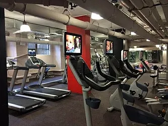 Rented by Bold New York