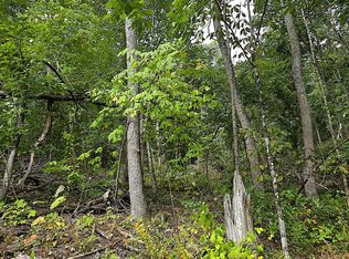 Dark Hollow Ln, Rocky Gap, VA 24366