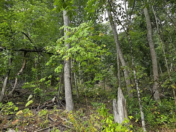 Dark Hollow Ln, Rocky Gap, VA 24366