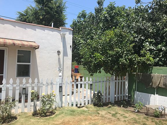 Myer lemon tree and roses in front of unit.