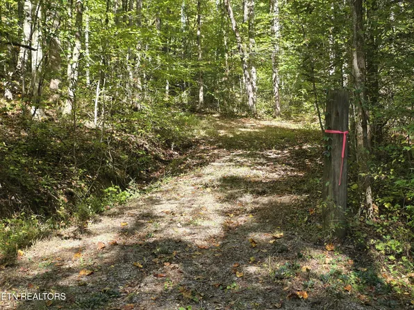 Tuskegee Dr, Oak Ridge, TN 37830