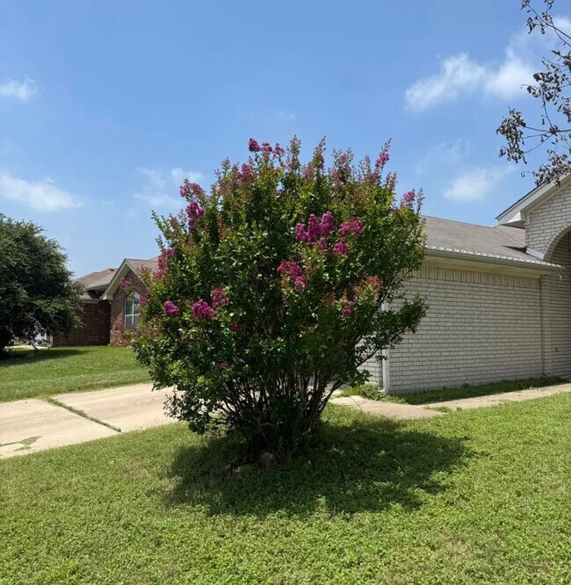 3 bed, 1687 sqft, $1,750 — Photo 4