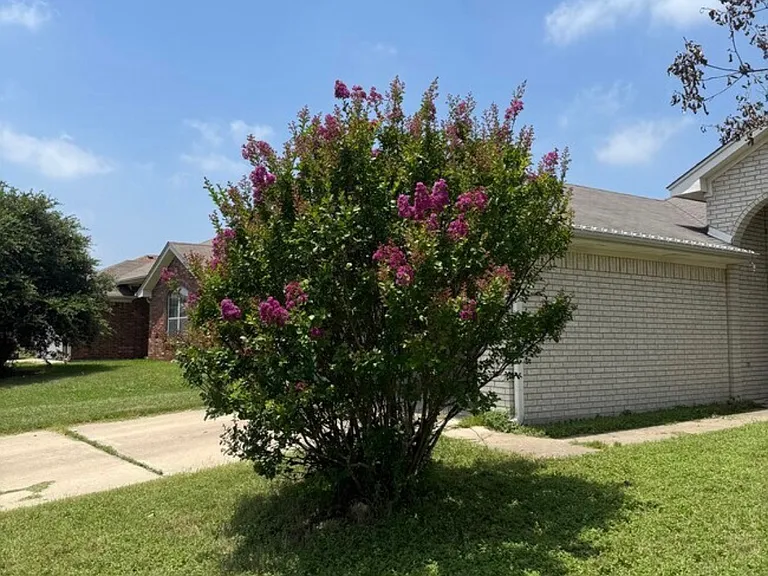 4301 Capri Dr — Photo 4
