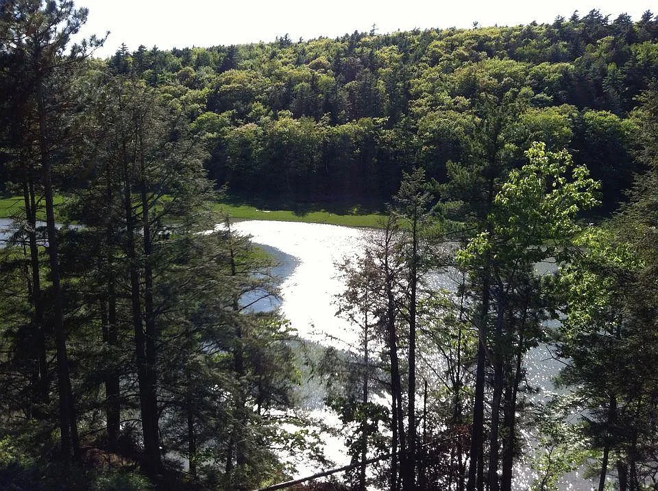 2 bed, 1.5 bath, 1650 sqft, $2,600 — Photo 2