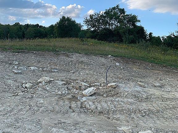4th image of White Tail Dr