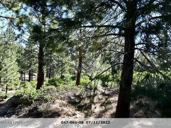 955 Blue Spruce Rd, Reno, NV 89511