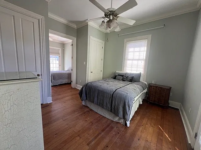 737 Dauphine St #737 — Photo 33