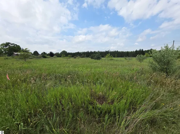 W Remus Rd, Mount Pleasant, MI 48858