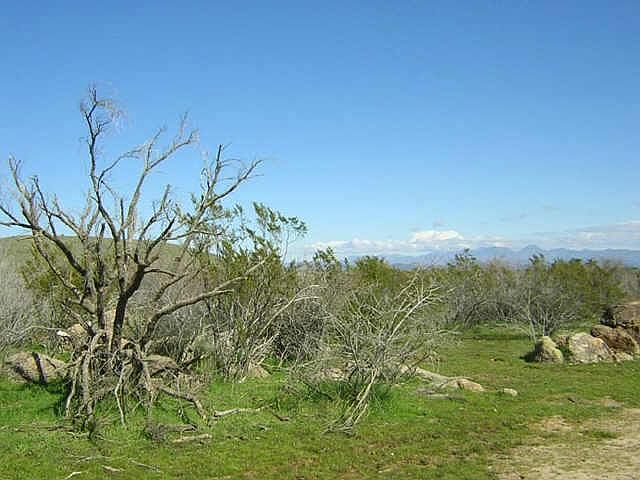 1st image of 153 E DIXILETA Drive