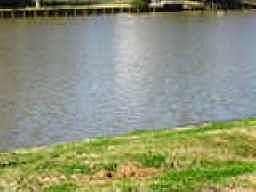 1st image of 15622 Oyster Cove Dr