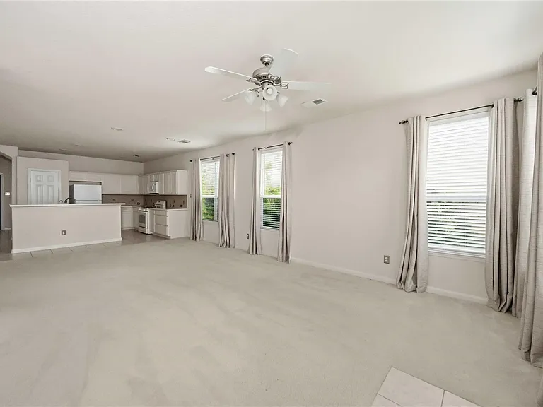 17203 Mitchell Pass Ln — Photo 6