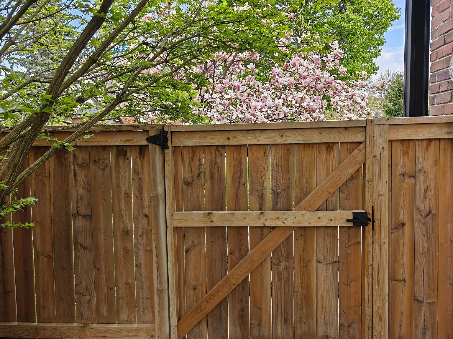 1 bed, $2,000 — Photo 3