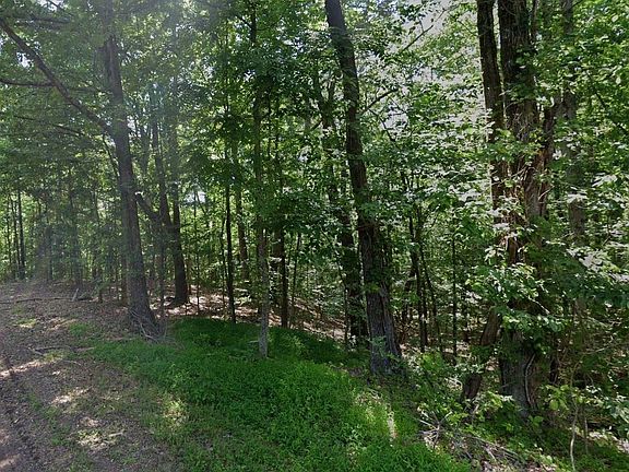 2nd image of Cedar Grove Loop