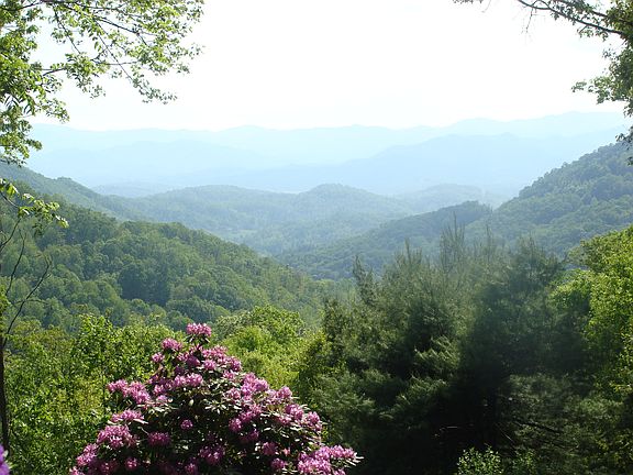 Summer View from porch