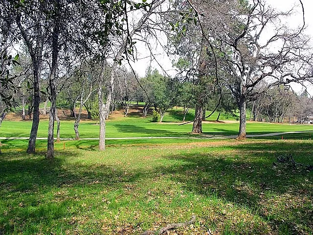 5206 Ferretti Rd photo 1