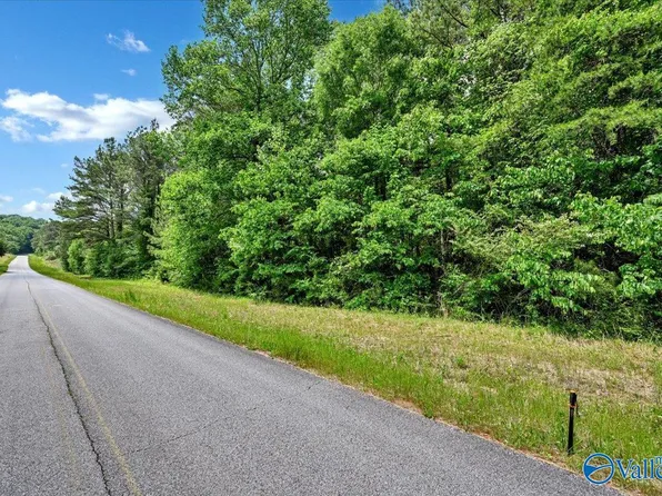 LOT 3 Mill Creek Rd, Falkville, AL 35622