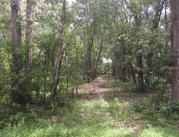 1st image of N Volusia Ave