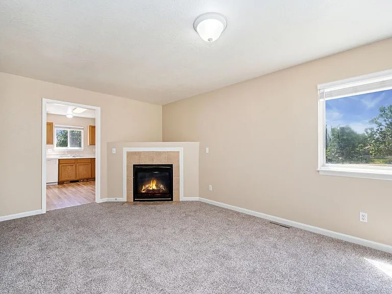 698 Eagle Dr — Photo 4