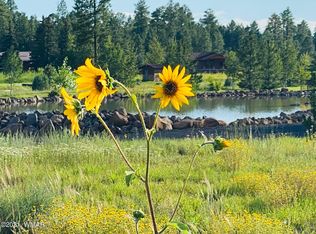 9585 Sierra Springs Dr, Pinetop, AZ 85935