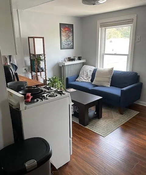 Living Room / Kitchen