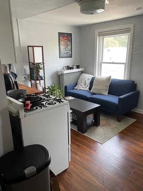 Living Room / Kitchen