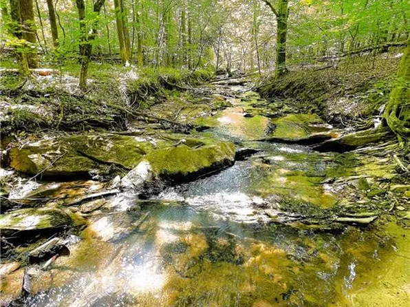 Lowe Rd, Madison, NC 27025