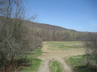 5697 Dresserville Rd, Moravia, NY 13118