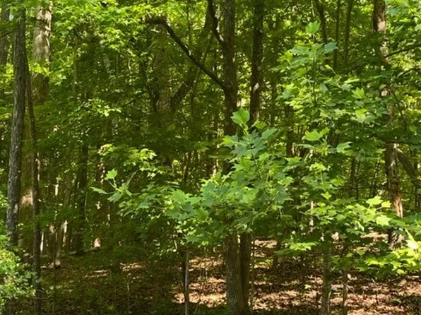 0 Laurel Dr, Westminster, SC 29693